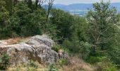 Excursión Senderismo Saint-Nabord - Saint-Nabord - Photo 2