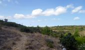 Trail Walking Conilhac-Corbières - CONILHAC - lausines - Photo 16