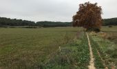 Excursión Bici de montaña Jacou - Intermarché Jacou maison  - Photo 1