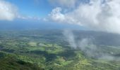 Excursión Marcha nórdica L'Ajoupa-Bouillon - La pellée - Photo 17