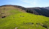 Tour Zu Fuß Feld am See - Wanderweg 187 (Possegger - Mirnock) - Photo 6