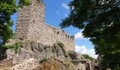 Randonnée Marche Dambach-la-Ville - Dambach-la-Ville : Circuit des trois châteaux - Photo 9