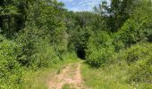 Trail Walking Verfeil-sur-Seye - Boucle verfeil  - Photo 9