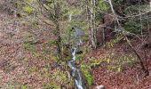 Trail Walking Cornimont - Col du Brabant - croix Louis par Mansuy et Boulaite - Photo 5