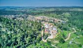 Tour Zu Fuß Regionalverwaltung Mateh Jehuda - יער הנשיא - ירוק - Photo 1