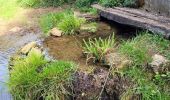 Tour Wandern Corveissiat - arnans abbay de selignac - Photo 6