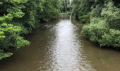 Tocht Stappen Viroinval - Randonnée autour de Nismes - Photo 11