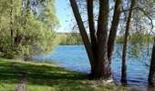 Tour Wandern Sotteville-sous-le-Val - 20260407-sotteville sous le val cool - Photo 4