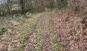 Trail Walking Aywaille - Elfique 13km - Photo 11