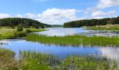 Trail Walking Monts-de-Randon - Charpal - Photo 2