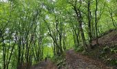 Tour Wandern Chaudfontaine - Chaudfontaine  - Bois les Dames - Photo 1