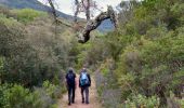 Trail Walking Roquebrune-sur-Argens - SityTrail - Les 25 ponts-Roquebrune sur Argens-28-01-22 - Photo 1