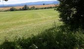 Randonnée Randonnée équestre Pont-de-Poitte - poitre binans 14/o7/19 - Photo 8