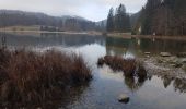 Trail Walking Oyonnax - lac genin depuis le kiosque - Photo 1