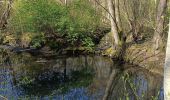 Tocht Stappen Erstein - ail des ours source du Bronnenwasset - Photo 1