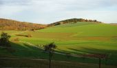 Percorso A piedi Neunkirchen - Neckarkatzenbach-Weg - Photo 3