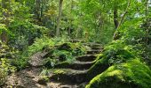 Randonnée Marche Esneux - Esneux - Parc du Mary - Photo 2