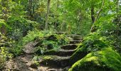 Randonnée Marche Esneux - Esneux - Parc du Mary - Photo 5