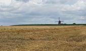 Percorso Marcia Ronse - Ronse-Audenarde 20,5 km  - Photo 6