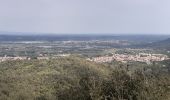 Trail Walking Maureillas-las-Illas - dolmen de la Siureda via tour Bel Ull - Photo 16