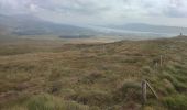 Tour Wandern West Cork - Allihies - Castletownbere - Photo 13