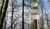Randonnée A pied Vresse-sur-Semois - Crêtes de Chairière - Photo 3