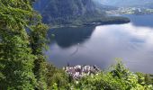 Tocht Stappen Hallstatt - Hallstatt - Photo 7