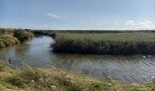 Tocht Stappen Port-des-Barques - st froult entre mer et marais 11.5 - Photo 3