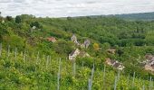 Tour Wandern Crouttes-sur-Marne - Crouttes-sur Marne du 20/05/2021 - Photo 3