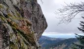 Trail Walking Oberbruck - 2022-04-24 Marche Gresson Rouge Gazon Neuweiher Oberbruck - Photo 2
