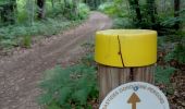 Trail Walking Lanquais - Lanquais 12km - Photo 4