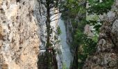 Trail Walking La Palud-sur-Verdon - Sentier Blanc Martel - Photo 11