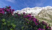 Trail On foot Ceresole Reale - IT-540A - Photo 8