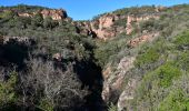 Tour Wandern Bagnols-en-Forêt - Parking sur D47 - La Forteresse - Col de la Pierre à Coucou - Gorges du Blavet  - Photo 2