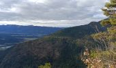 Tour Wandern Châtillon-en-Diois - Cabane de Chatillon  - Photo 3