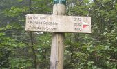 Tocht Stappen Culoz - le grand colombier - Photo 10
