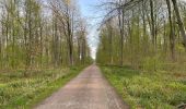 Trail Walking Corcy - en forêt de Retz_91_04_2022_la Laie de la Belle Epine - Photo 1