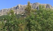 Tocht Stappen Le Castellard-Mélan - Le Castellard/Tour de la Roche des brigands  - Photo 7