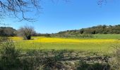 Trail Walking Saint-Paul-Trois-Châteaux - Clansayes - sentier de la truffe  - Photo 2