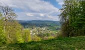 Excursión Senderismo La Roche-en-Ardenne - la roche - rendeux - la roche - Photo 4