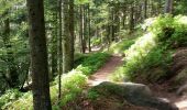 Percorso Mountainbike Raon-l'Étape - sortie vtt du 12052018 pierre d'appel  - Photo 1