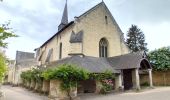 Tocht Stappen Fontevraud-l'Abbaye - Fontevraud - Photo 4