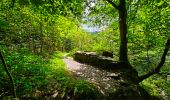 Randonnée Marche Bièvre - Promenade de la Roche Mouselle - Petit-Fays - Photo 8