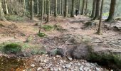 Trail Walking Raeren - Raeren  Roetgen Eifelsteig 23 km - Photo 3