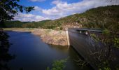 Tour Wandern Blot-l'Église - Le barrage de la Sep  - Photo 2