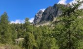 Randonnée Marche Saint-Martin-Vésubie - Cougourde-Lac de Trécolpas Mercantour - Photo 16