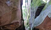 Tocht Stappen Fontainebleau - Fontainebleau sentier Denecourt 7-8 8-8 - Photo 18