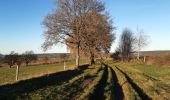 Tour Wandern Lierneux - lierneux . promenade aérienne dans la vallee de la lienne - Photo 4