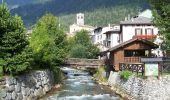 Percorso A piedi Ponte di Legno - Garòfui - Photo 5