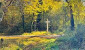 Tocht Stappen Compiègne - en forêt de Compiègne_43_le Petit Octogone et vers la Faisanderie - Photo 20